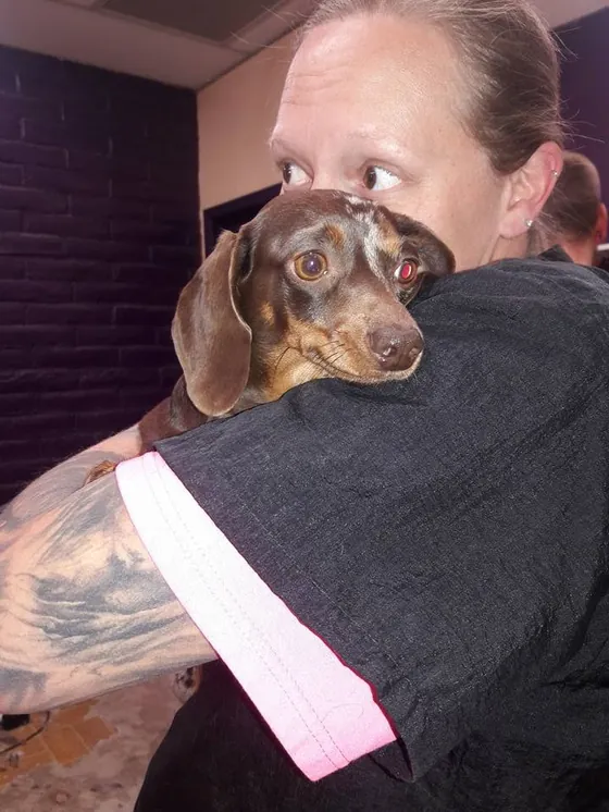 Groomer gently comforting a small dog